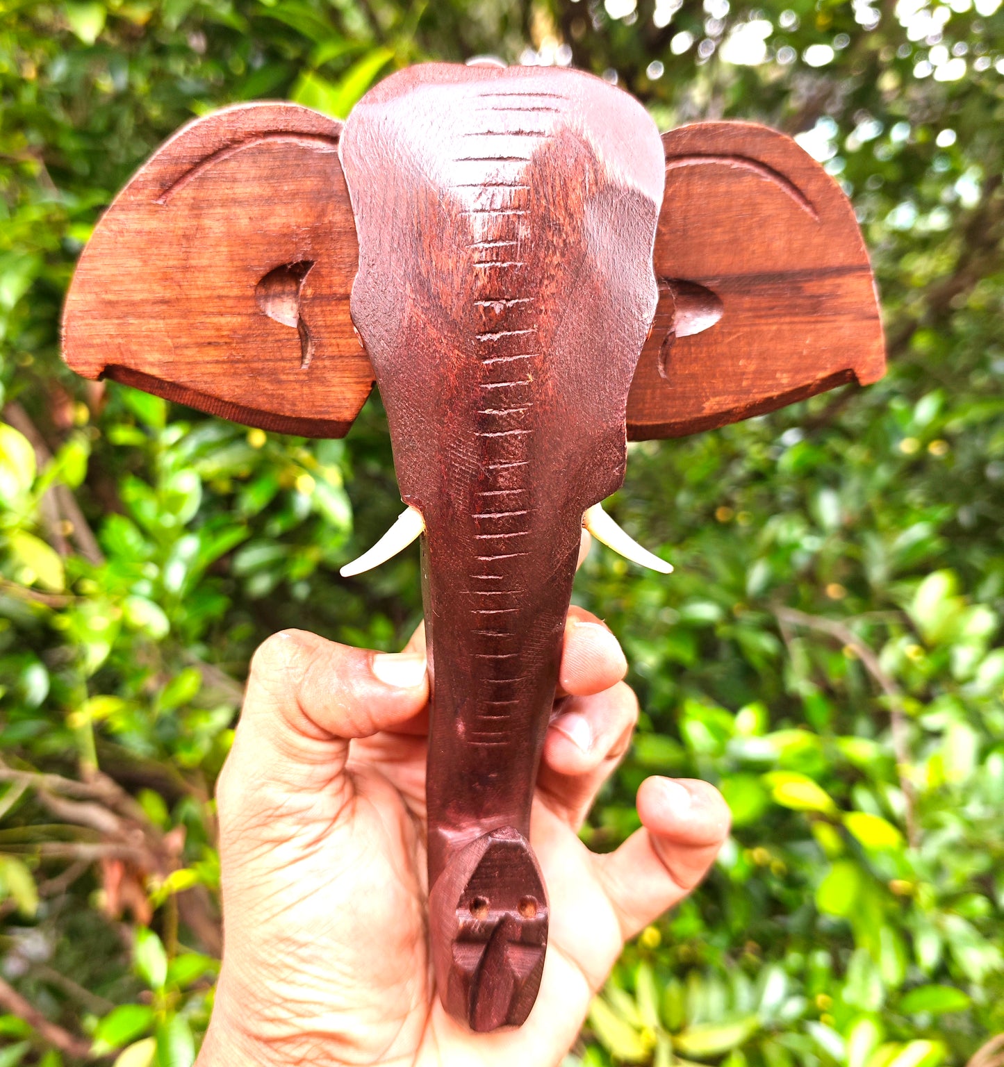 Handcrafted Wooden Elephant Head Wall Hanging – 8 Inch | Kerala Traditional Decor
