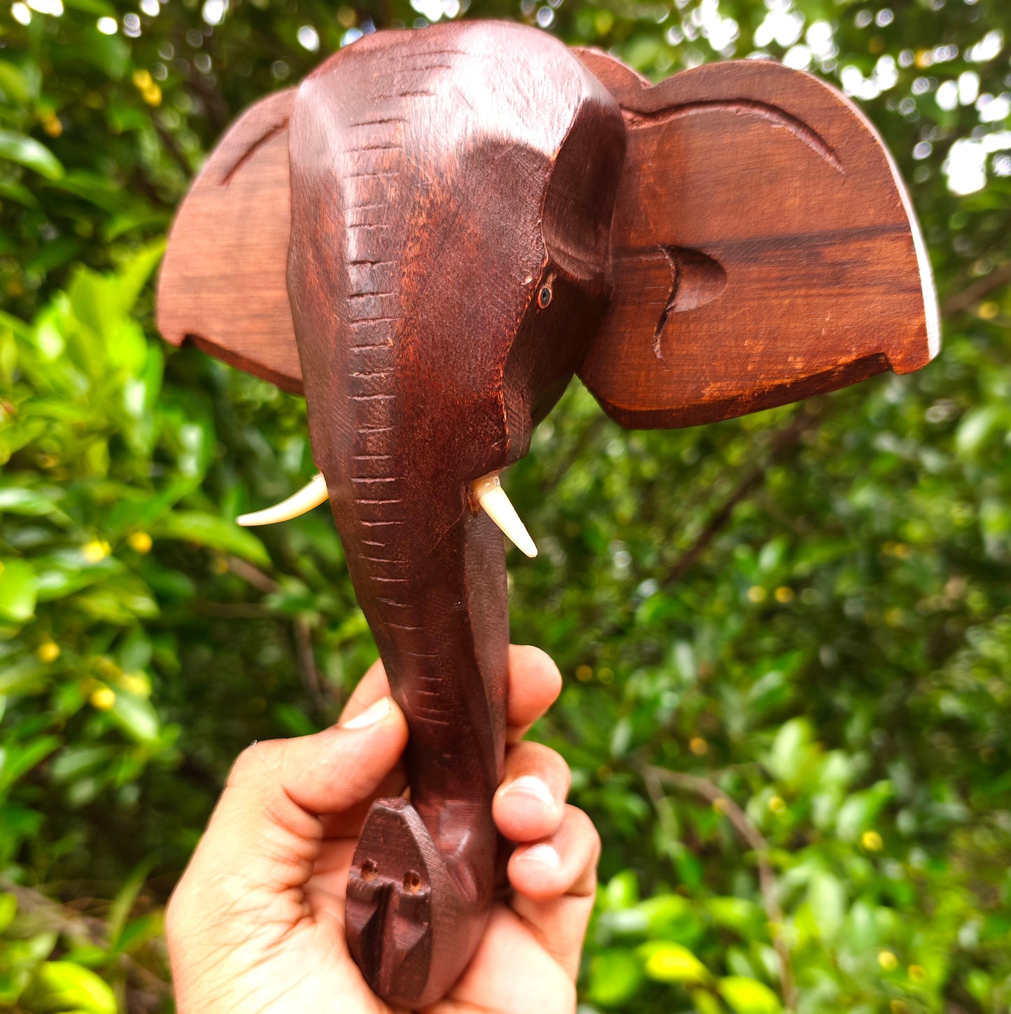 Handcrafted Wooden Elephant Head Wall Hanging – 8 Inch | Kerala Traditional Decor