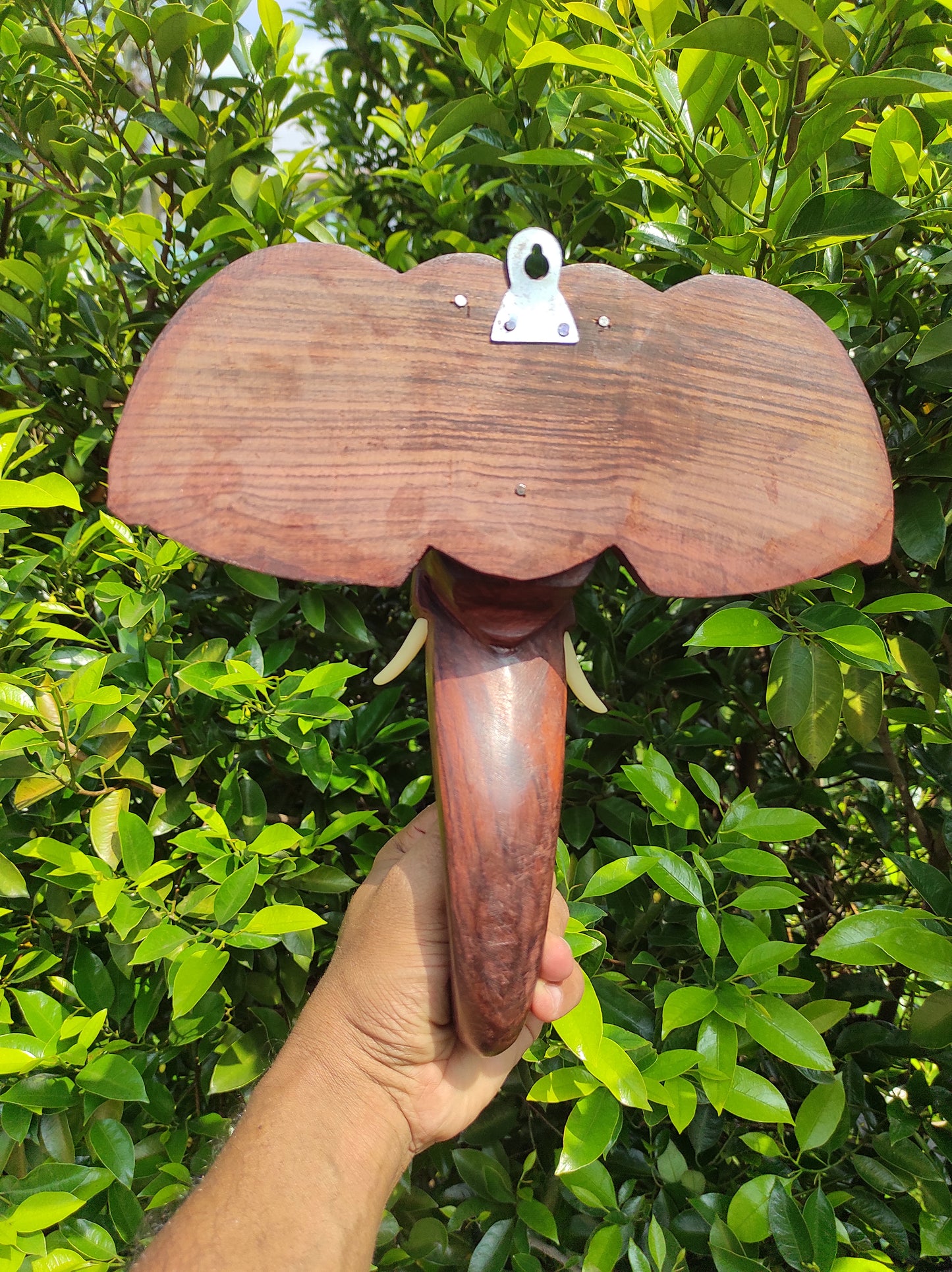 10-Inch Hand-Carved Kerala Elephant Head Wall Hanging in Rosewood – Deluxe Finish