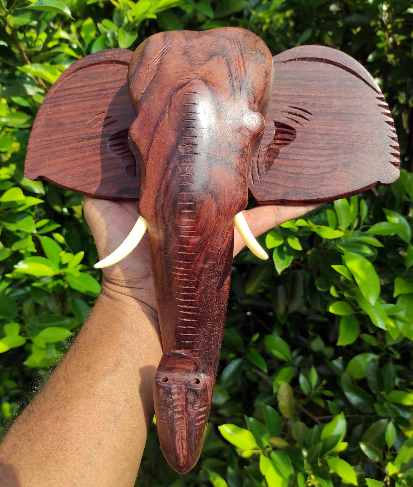 10-Inch Hand-Carved Kerala Elephant Head Wall Hanging in Rosewood – Deluxe Finish