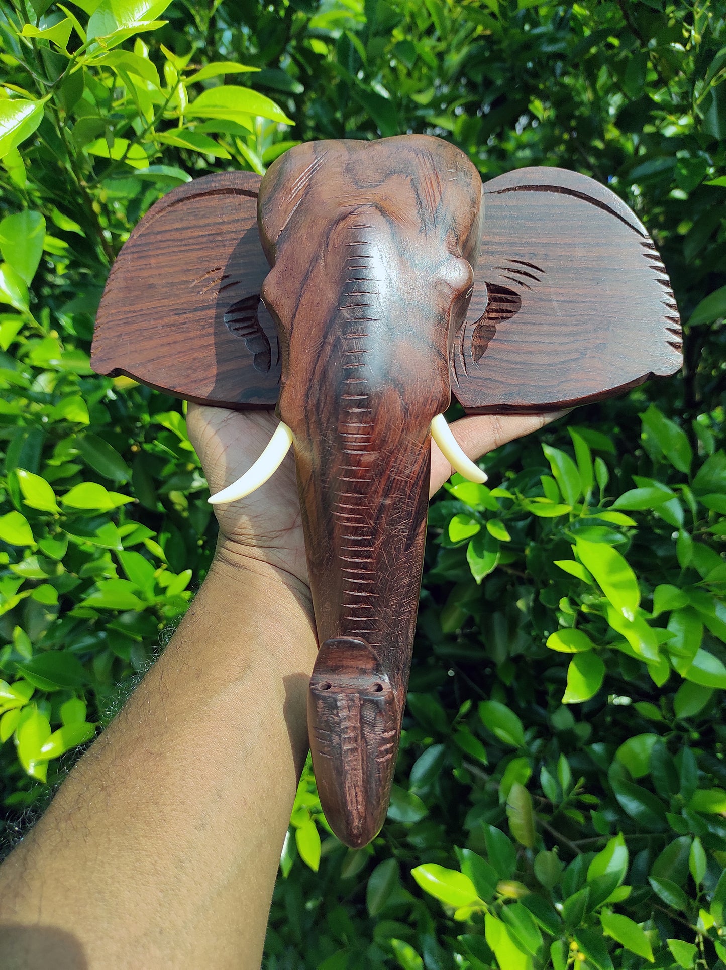 10-Inch Hand-Carved Kerala Elephant Head Wall Hanging in Rosewood – Deluxe Finish