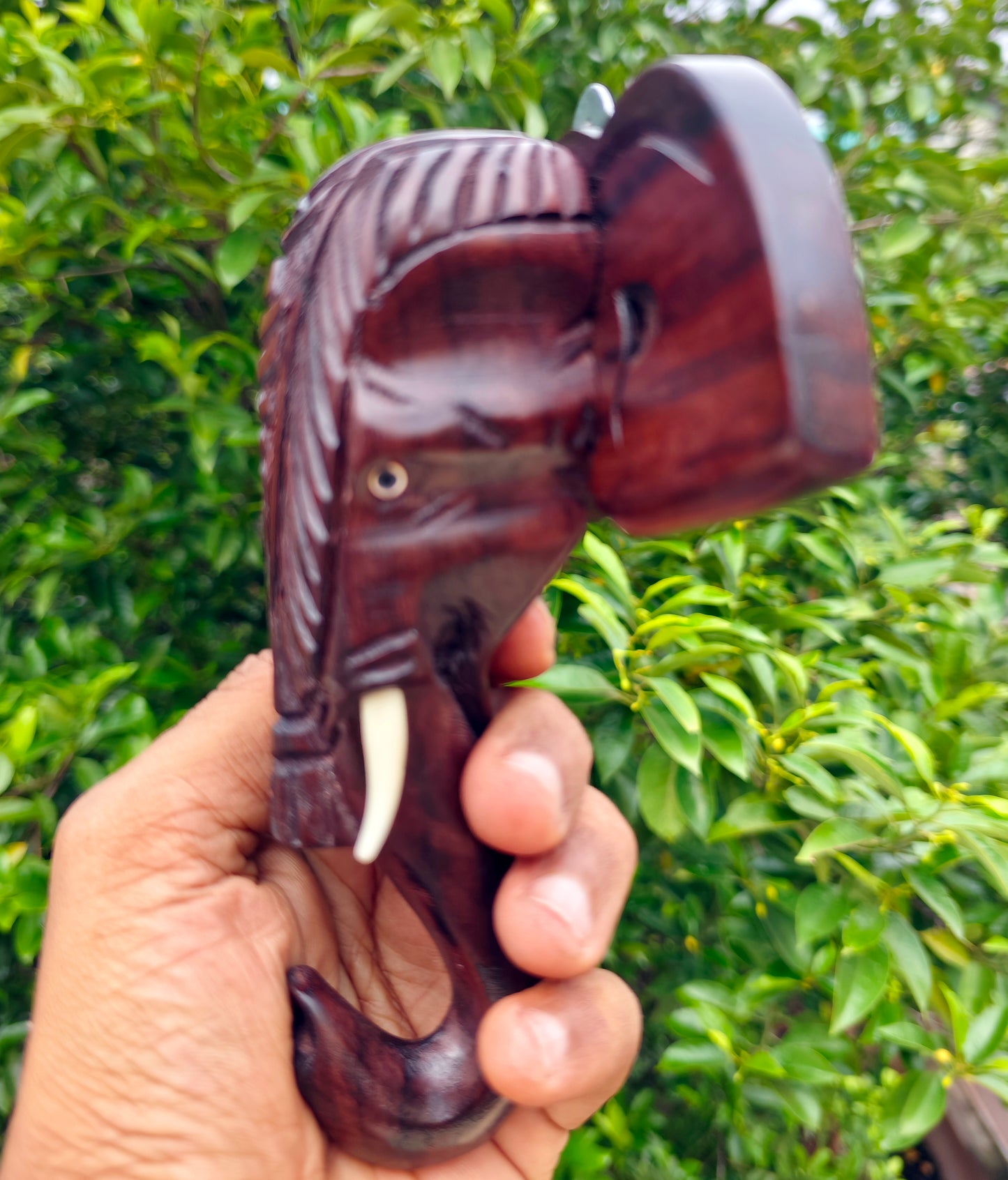 Hand-Carved Kerala Elephant Head Wall Décor with Nettipattom – 6 Inches | Rosewood | Artisan-Made