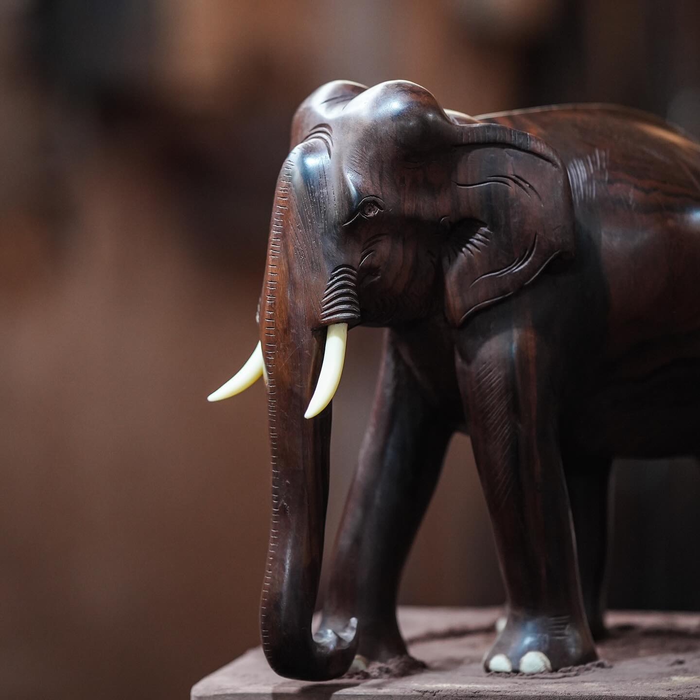8-Inch Handcrafted Wooden Elephant Showpiece – Kerala Artisan Decor for Home & Gifting