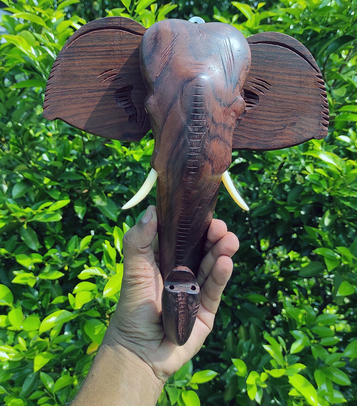 10-Inch Hand-Carved Kerala Elephant Head Wall Hanging in Rosewood – Deluxe Finish