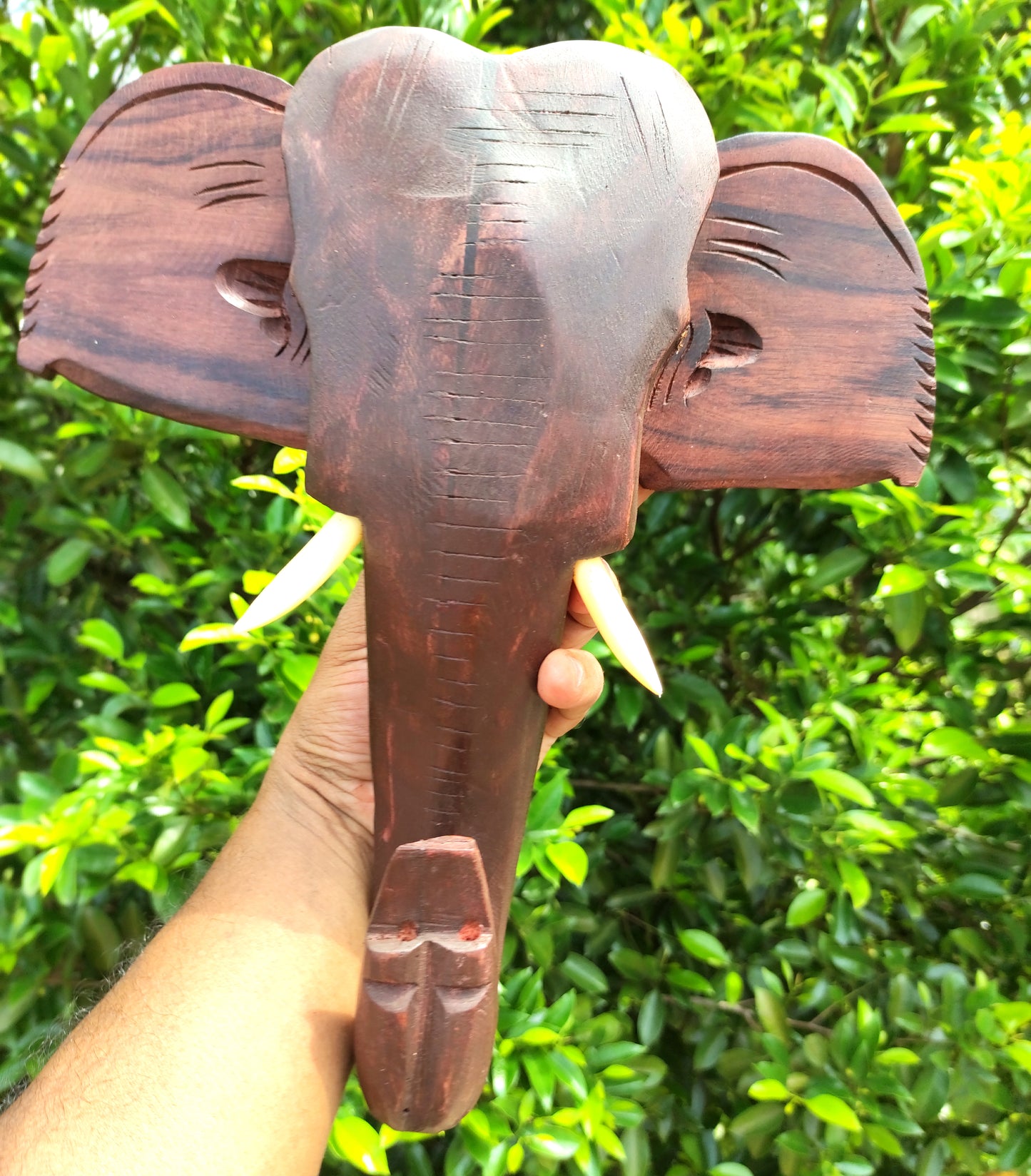 Rosewood-made Kerala Elephant Head Wall Hanging, ideal for gifting and home decor. (12-inch)