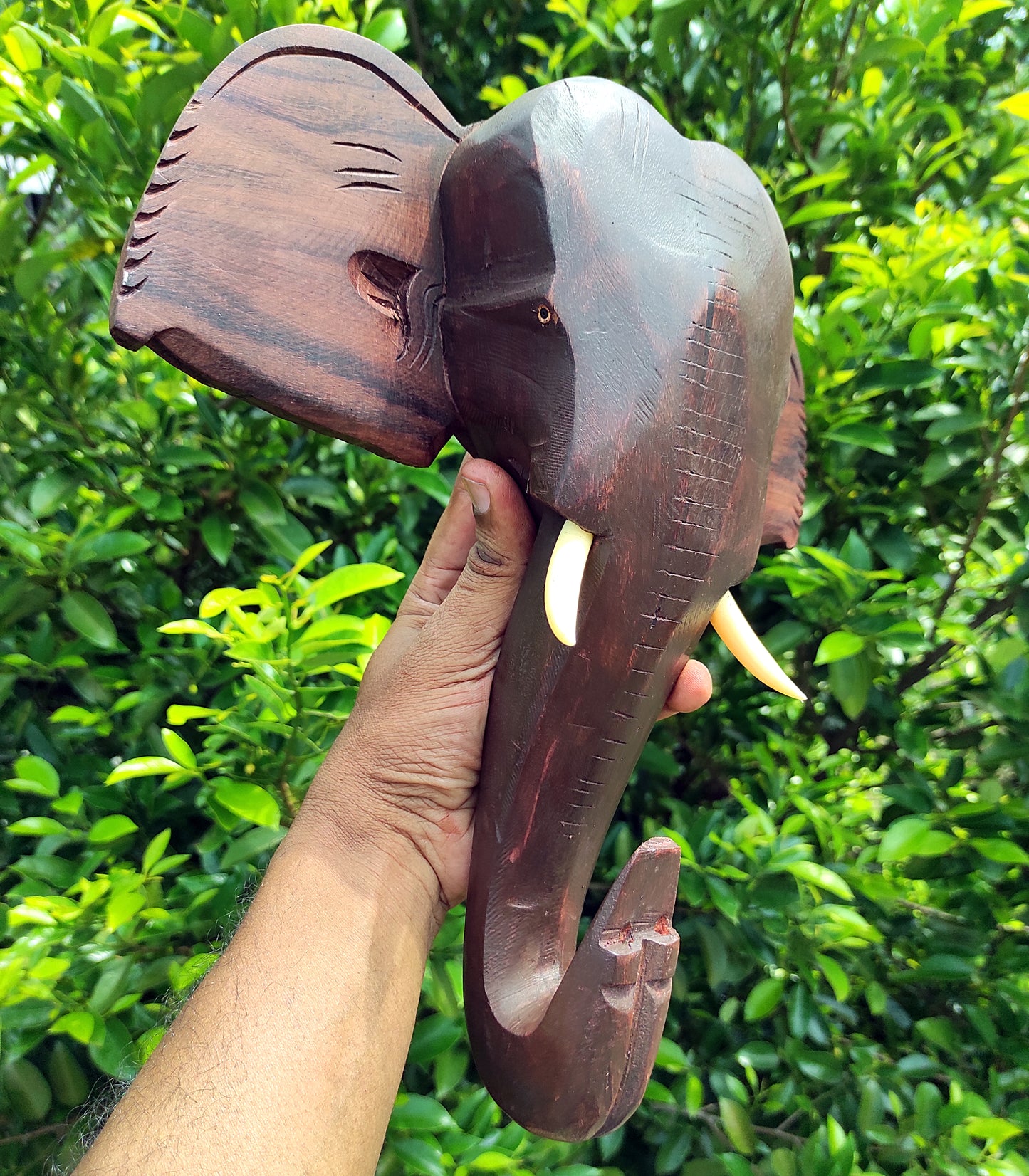 Rosewood-made Kerala Elephant Head Wall Hanging, ideal for gifting and home decor. (12-inch)